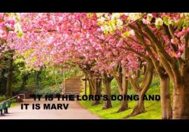 A DREAM COME TRUE – St. MARY’S MATRICULATION HR.SEC.SCHOOL, CHENGALPATTU, 11th July 2020