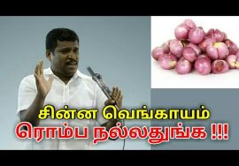 சின்ன வெங்காயம் மருத்துவ பயன்கள் | Small onion benefits by Healer baskar