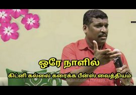 கிட்னி கல்லை ஒரே நாளில் கரைக்கும் பீன்ஸ் வைத்தியம் | Kidney stone treatment by Healer baskar Sir