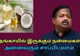 தினமும் தேங்காய் சாப்பிடுங்க ரொம்ப நல்லது | Dr.Sivaraman speech on coconut and oil