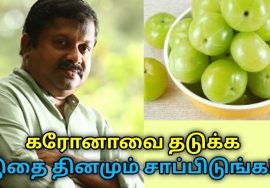 வைட்டமின் C அதிகமுள்ள பழம் இதுதான் | Dr.Sivaraman speech on gooseberry benefits
