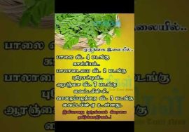 முருங்கை கீரை நன்மைகள்