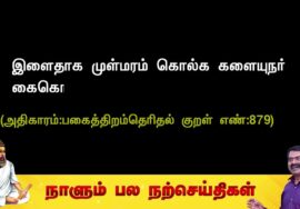 இளைதாக முள்மரம் கொல்க களையுநர் கைகொல்லும் காழ்த்த இடத்து