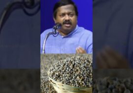 அரிசியை விட 8 மடங்கு இரும்புச்சத்து அதிகம் உள்ள தானியம் | Dr.Sivaraman