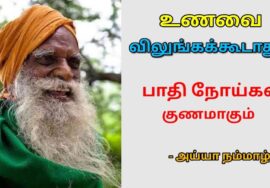 உணவை இப்படி சாப்பிட்டால் ஆரோக்கியம் மேம்படும் | Nammalvar speech on Eating habit