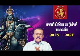 ஜோதிடர் செல்வி | கும்பம் – பாத சனி 60% | சனிப்பெயர்ச்சி பலன்கள் 2025-27 | Sanipeyarchi palangal
