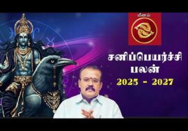 ஜோதிடர் செல்வி | மீனம் – ஜென்ம சனி 55% | சனிப்பெயர்ச்சி பலன்கள் 2025-27 | Sanipeyarchi palangal