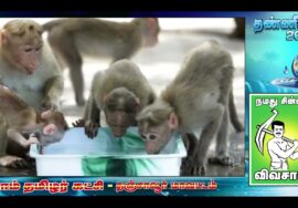 தாய்ப்பாலும் தண்ணீரும் பாடல் காணொளி – தண்ணீர் மாநாடு | மோகன் ராஜன் | அந்தோணி தாசன் | சின்னப்பொண்ணு