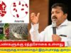 இரும்புச்சத்து குறைபாட்டை சாதாரணமா விட்ர வேண்டாம் | Dr.Sivaraman speech on iron deficiency and foods