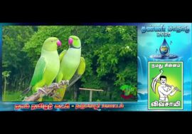 அன்றங்கே ஒரு நாடு இருந்ததே பாடல் காணொளி | தண்ணீர் மாநாடு Andrange Oru Nadirundhadhe KJ Shahul Hameed