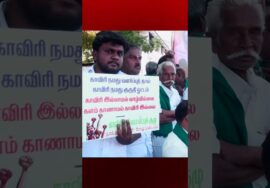தீர்மான நகல் எரிப்புப் போராட்டம்