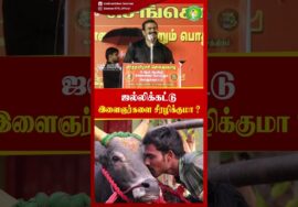 ஜல்லிக்கட்டு இளைஞர்களை சீரழிக்குமா? #Seeman | #NTK | #TVKVijay | #Jallikattu | #trendingreels TVKMLA