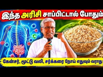 அரிசி உணவு சாப்பிட்டே பல நோய்களை குணப்படுத்தலாம் | Ko Siddhar speech | Rice Health Benefits