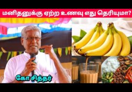 உங்களுக்கு ஆரோக்கியம் தரும் உணவுகள் இதுதான் | Ko Sither Health Tips | கோ சித்தர்